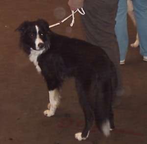 Amigos erste Ausstellung